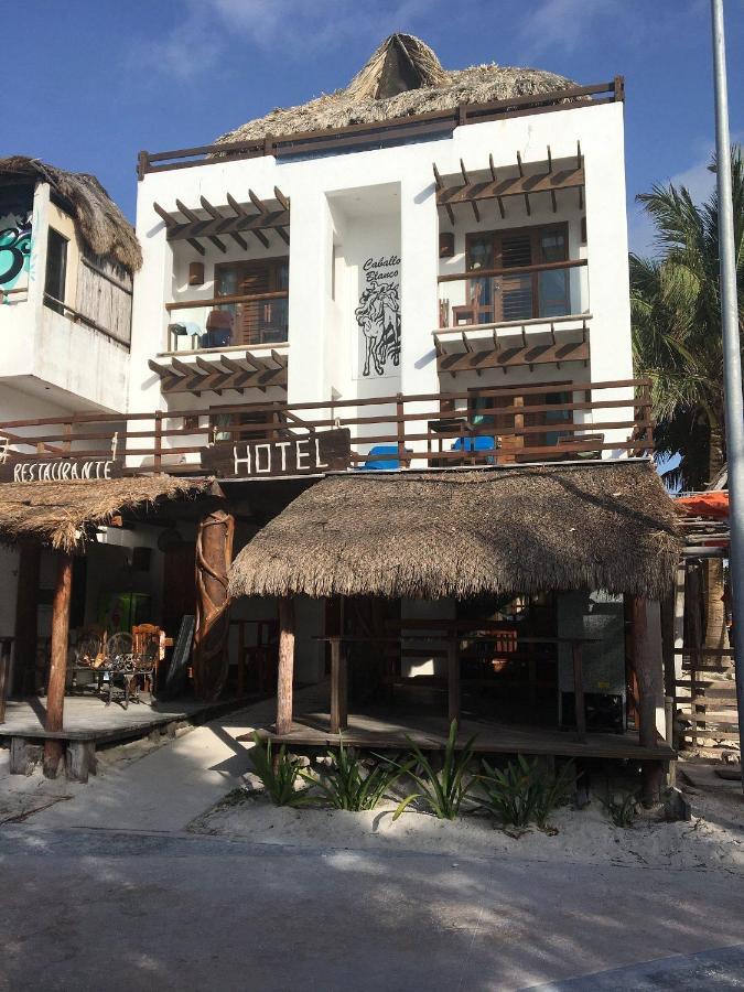 Hotel El Caballo Blanco Mahahual Exterior photo