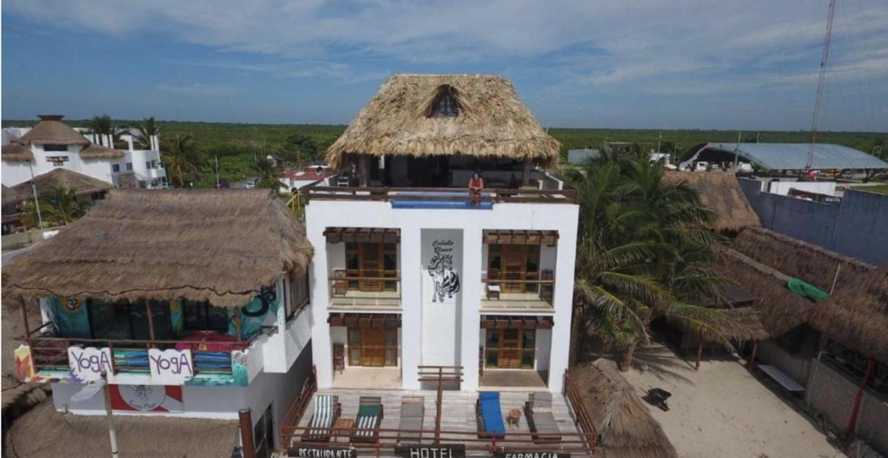 Hotel El Caballo Blanco Mahahual Exterior photo